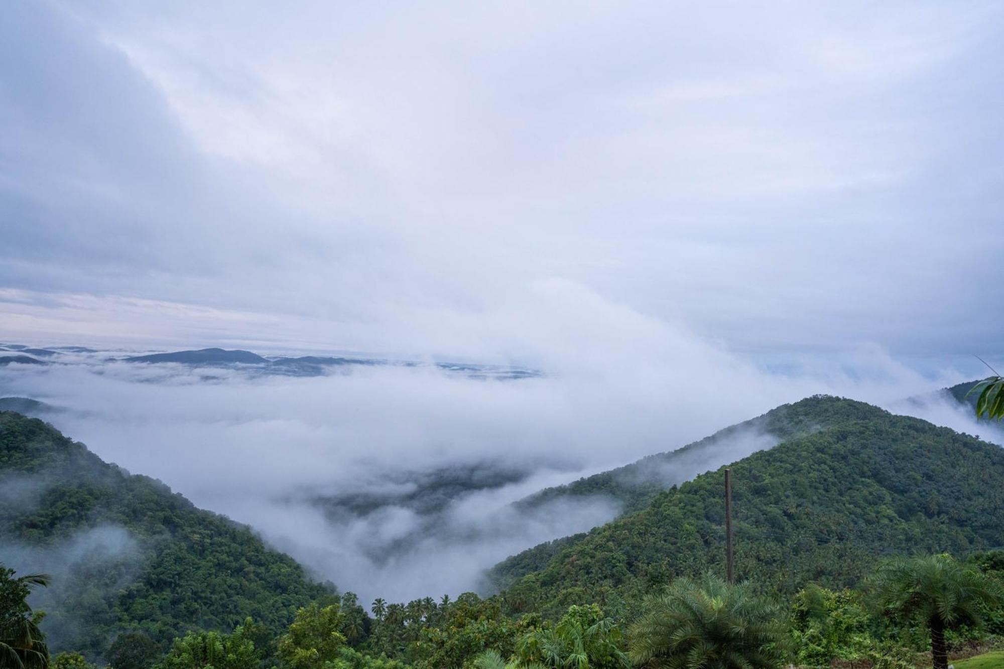 Mount Stratus Resort Vayalada Balussery Exterior photo